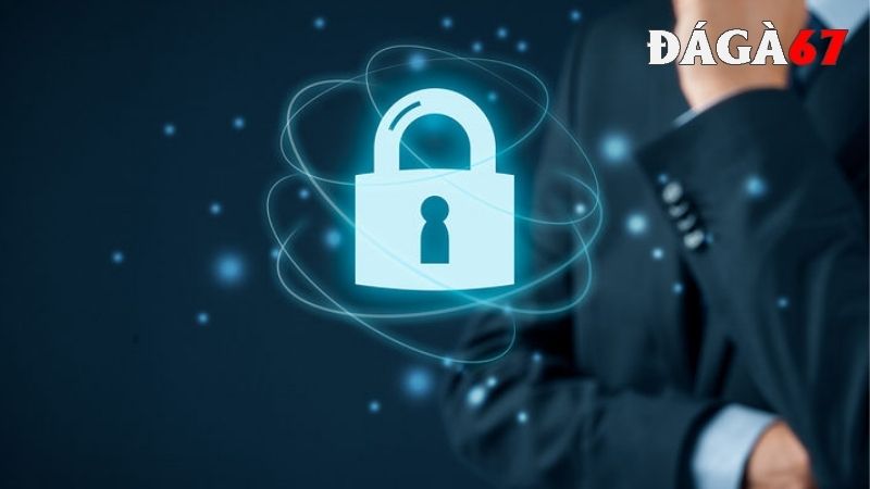 Chính sách bảo mật chỉ thu thập dữ liệu nào?