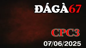 Full Clip Đá Gà Thomo C3 Ngày 07/06/2025