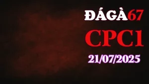 Tổng Hợp Clip Đá Gà Trực Tiếp C1 Hôm Nay Ngày 21/07/2025