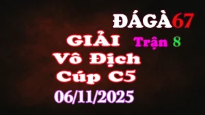 Đá Gà Giải C5: A.8 Tài Xỉu (0đ) vs A.Kẽ săn chim PQ (6đ-xanh)