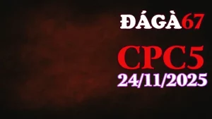 Xem video phát lại đá gà trực tiếp Thomo CPC5 hôm nay 24112025 – Full trận