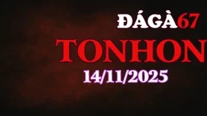 Xem lại trận đá gà Tonhon hôm nay 14/11/2025