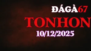 Clip Trực Tiếp Đá Gà Tonhon Hôm Nay 10122025 Phát Lại Full Trận