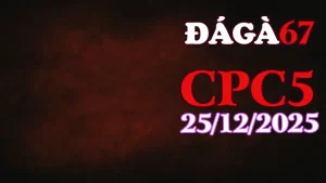 Video Đá Gà Thomo CPC5 Ngày 25122025 Phát Lại
