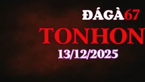 Xem Lại Đá Gà Tonhon Hôm Nay 13122025