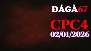 Tổng Hợp Clip Đá Gà Thomo CPC4 Hôm Nay 02012026