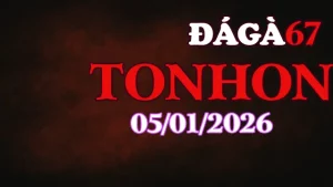 Xem Lại Đá Gà Tonhon Ngày 05012026