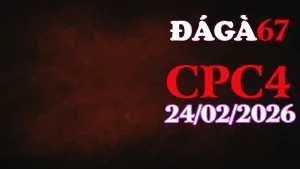 Tổng hợp video đá gà trực tiếp CPC4 ngày 24022026 hấp dẫn