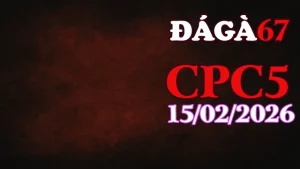 Xem Clip Trực Tiếp Đá Gà CPC5 Ngày 15022026 Không Giật Lag