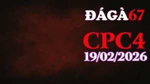 Xem lại clip đá gà trực tiếp CPC4 ngày 19022026 chuẩn HD